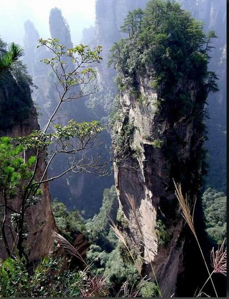 長沙出發(fā)到張家界溶洞奇觀黃龍洞、國家森林公園、袁家界、峰林之王天子山三日游（早班）