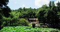 長沙出發(fā)到花明樓、韶山、張家界國家森林公園、天門仙山國家森林公園四日游