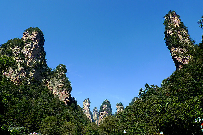 張家界國(guó)家森林公園、黃龍洞、天門山、鳳凰古城純玩五日游